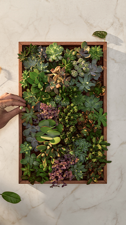 Caesarstone Porcelain