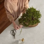 Caesarstone 5310 Brillianza Lifestyle
